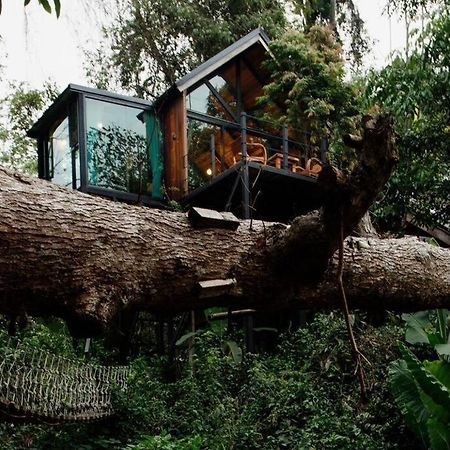 Villa Wilderness Treehouse Doi Saket Esterno foto