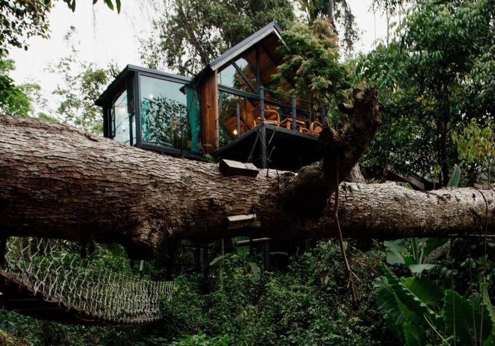 Villa Wilderness Treehouse Doi Saket Esterno foto