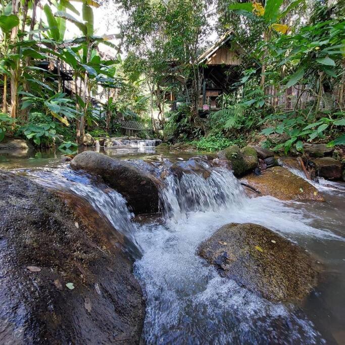 Villa Wilderness Treehouse Doi Saket Esterno foto