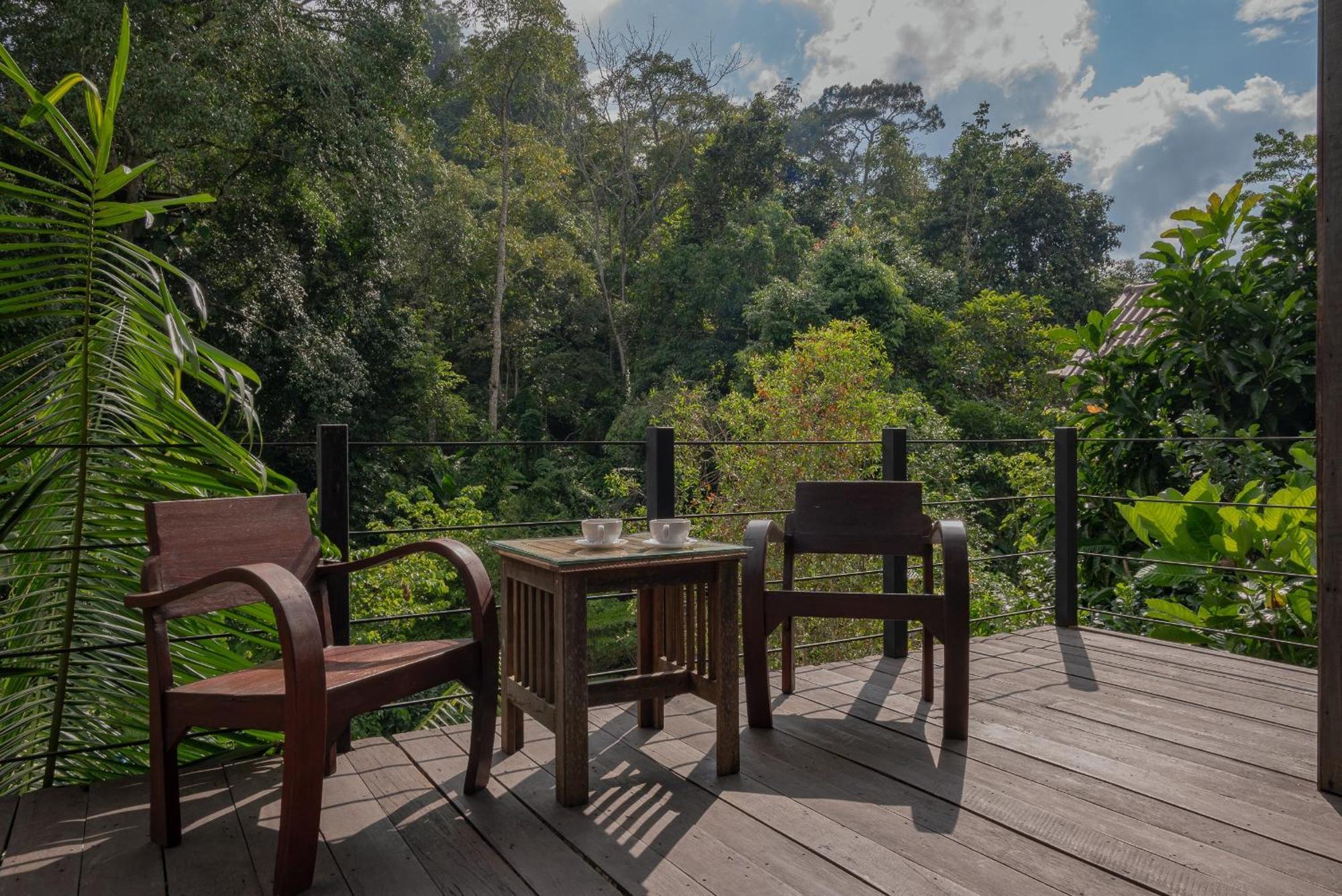 Villa Wilderness Treehouse Doi Saket Esterno foto