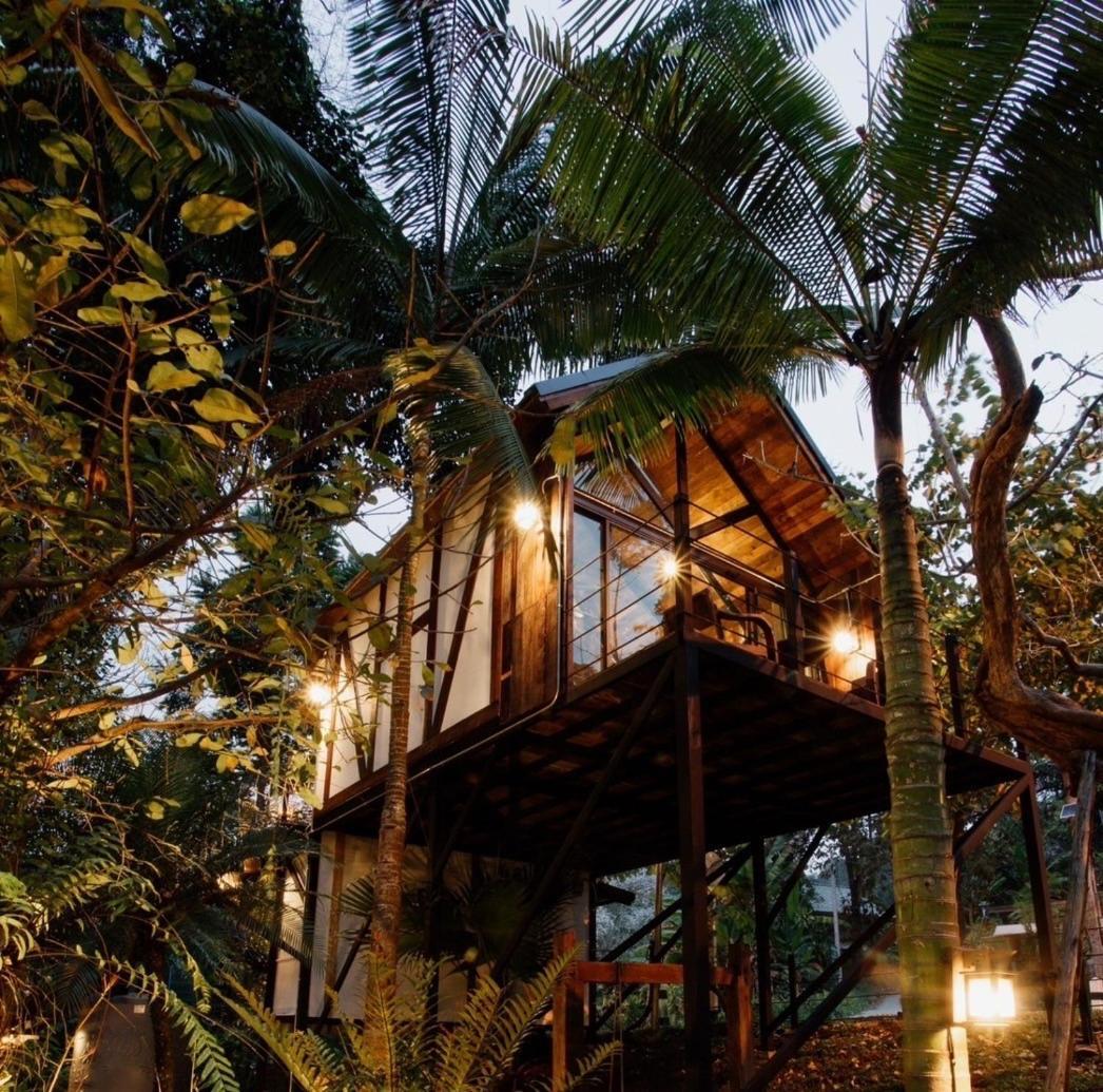 Villa Wilderness Treehouse Doi Saket Esterno foto