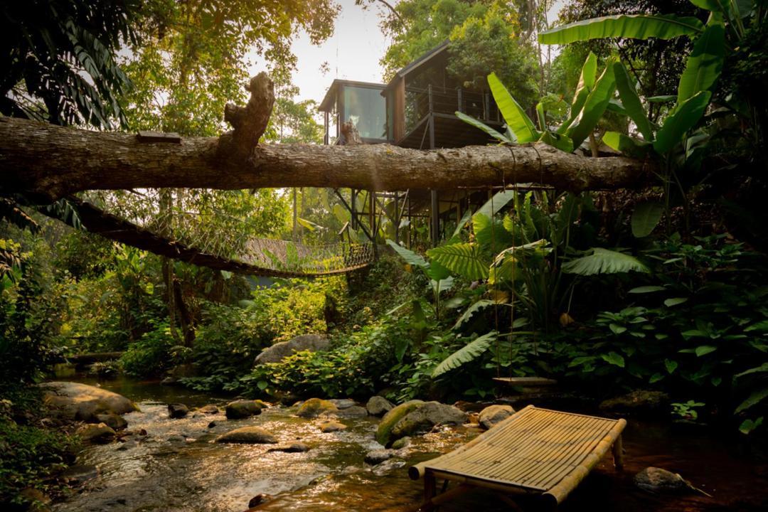 Villa Wilderness Treehouse Doi Saket Esterno foto